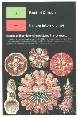 Il Mare Intorno a Noi — Libro - 1