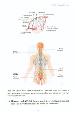 Il Massaggio Connettivale — Libro - 3