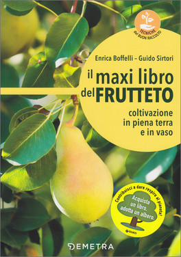 Il Maxi Libro del Frutteto — Libro - 1