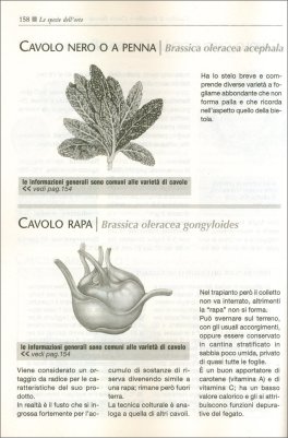 Il Maxi Libro dell'Orto — Libro - 3