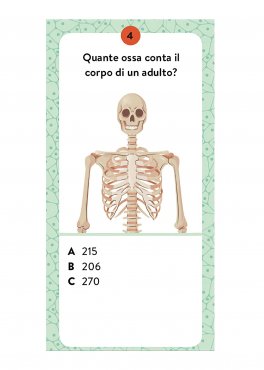 Il Mega Atlante del Corpo Umano — Libro/Gioco - 7