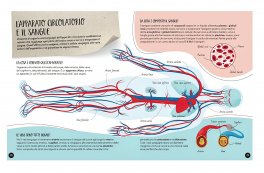 Il Mega Atlante del Corpo Umano — Libro/Gioco - 4