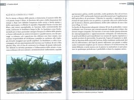 Il Melograno — Libro - 3