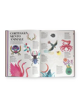 Il Meraviglioso Libro della Vita — Libro - 2