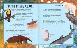 Il Meraviglioso Mondo degli Animali — Libro - 3