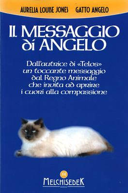 Il Messaggio di Angelo