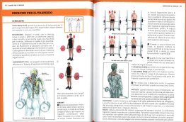 Il Metodo Delavier per la Muscolazione di Livello Avanzato — Libro - 3