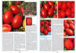 Il Milleortaggi  — Libro - 2