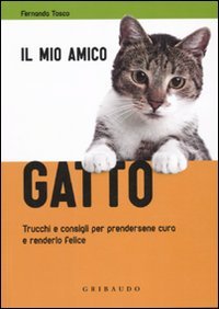 Il Mio Amico Gatto