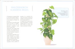 Il mio Angolo Verde — Libro - 3