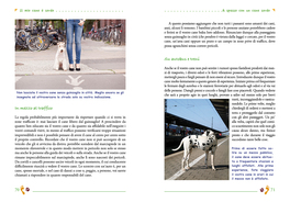 Il Mio Cane è Sordo  — Libro - 4