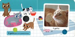 Il Mio Cofanetto degli Animali — Libro - 4