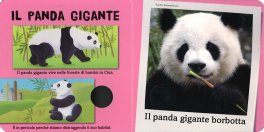 Il Mio Cofanetto degli Animali da Salvare — Libro - 4