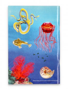 Il Mio Cofanetto Montessori degli Oceani - 4
