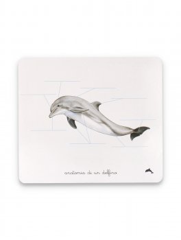 Il Mio Cofanetto Montessori degli Oceani - 7