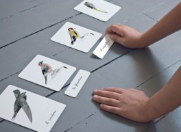 Il Mio Cofanetto Montessori degli Uccelli - 4