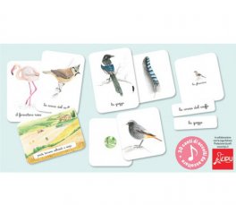Il Mio Cofanetto Montessori degli Uccelli - 5