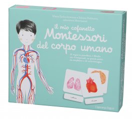 Il Mio Cofanetto Montessori del Corpo Umano - 1
