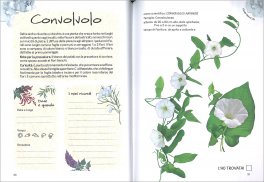 Il Mio Erbario di Fiori e Foglie — Libro - 3