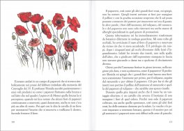 Il Mio Giardino Selvatico — Libro - 3