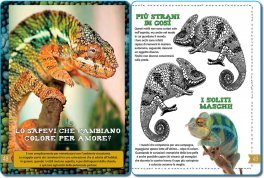 Il Mio Libro della Natura — Libro - 4