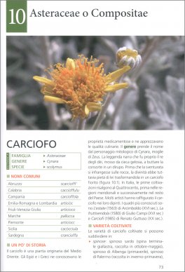 Il Mio Orto Naturale — Libro - 3