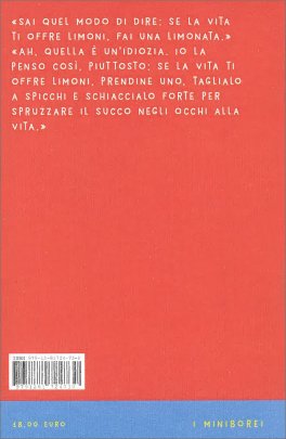 Il Mio Pazzo Amore che Brucia — Libro - 2