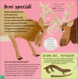 Il Mio Primo Libro degli Animali — Libro - 4