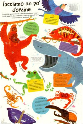 Il Mio Primo Libro degli Animali — Libro - 6