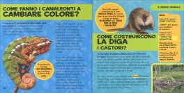 Il Mio Primo Libro dei Come — Libro - 3