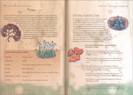 Il Mio Primo Manuale Wiccan — Libro - 3