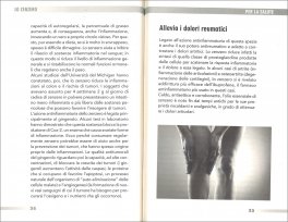 Il Miracoloso Zenzero — Libro - 3