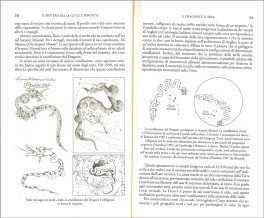 Il Mistero della Civiltà Perduta — Libro - 3
