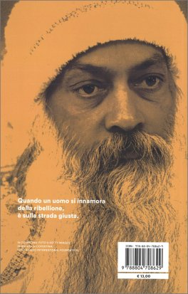 Il Mistero Maschile — Libro - 2