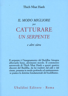 Il Modo Migliore per Catturare un Serpente  — Libro - 1