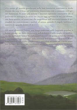Il Mondo degli Esseri Elementari — Libro - 2