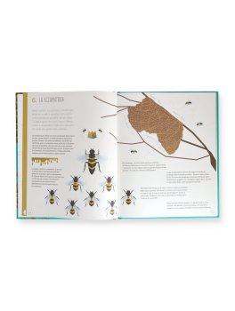 Il Mondo delle Api — Libro - 3