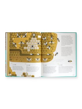 Il Mondo delle Api — Libro - 4