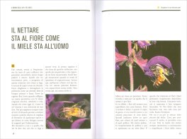 Il Mondo delle Api e del Miele — Libro - 3