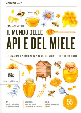 Il Mondo delle Api e del Miele — Libro - 1