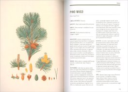 Il Mondo delle Erbe Selvatiche — Libro - 3
