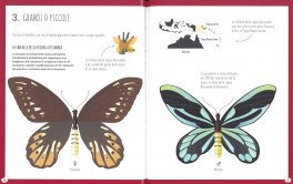 Il Mondo delle Farfalle — Libro - 3