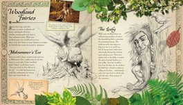 Il Mondo delle Fate — Libro - 3