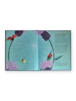 Il Mondo Segreto delle Ragnatele — Libro - 2