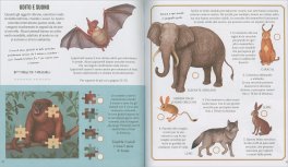 Il Museo delle Meraviglie - Animali — Libro - 3