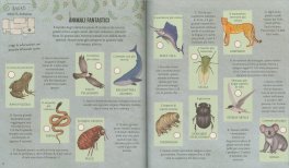 Il Museo delle Meraviglie - Animali — Libro - 4