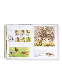 Il Nostro Giardino — Libro - 3