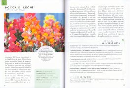 Il Nuovo Erbario — Libro - 3