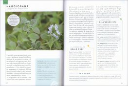 Il Nuovo Erbario — Libro - 2