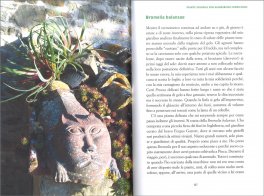 Il Paradiso è un Giardino Selvatico — Libro - 3